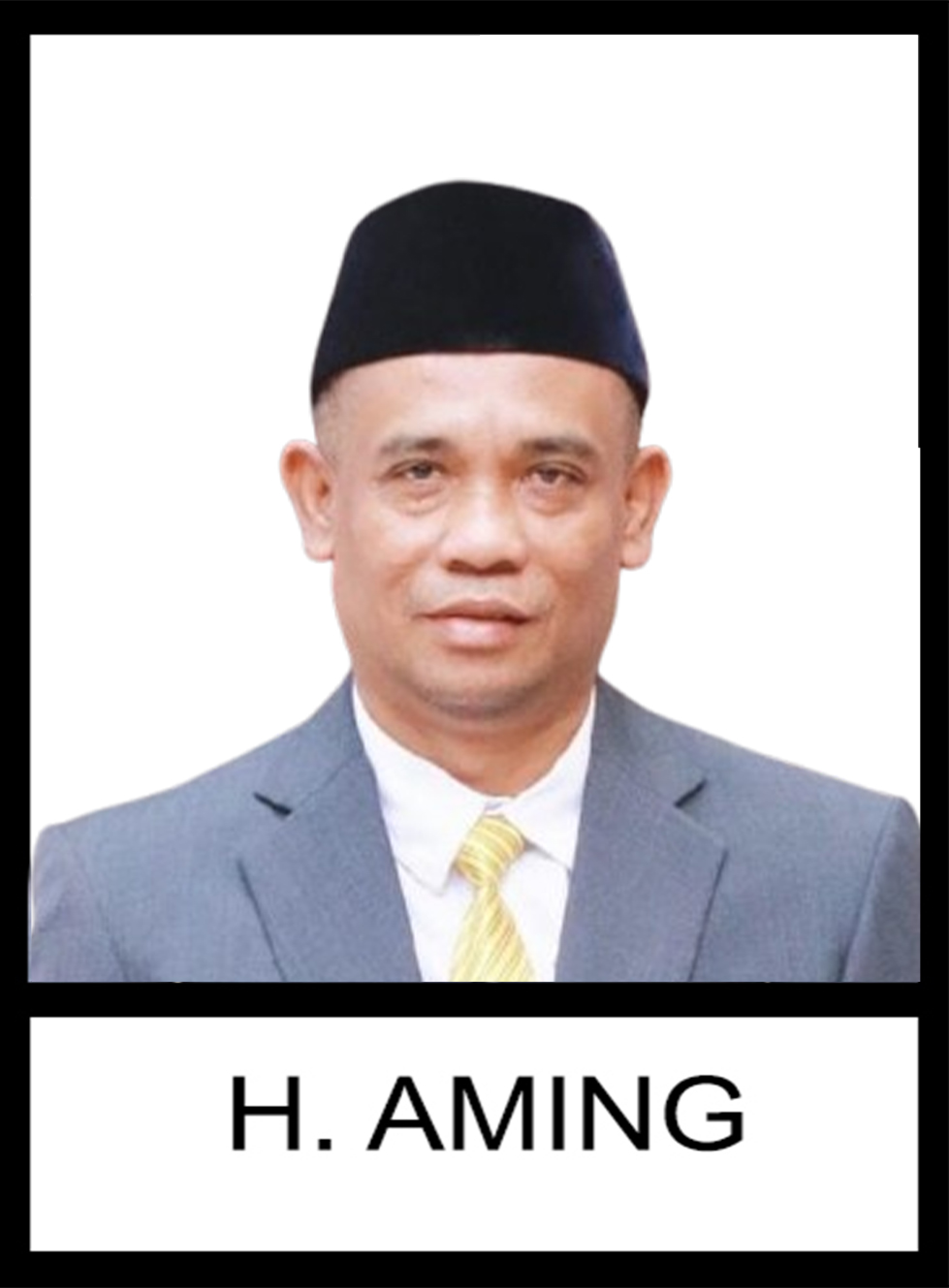 H. AMING